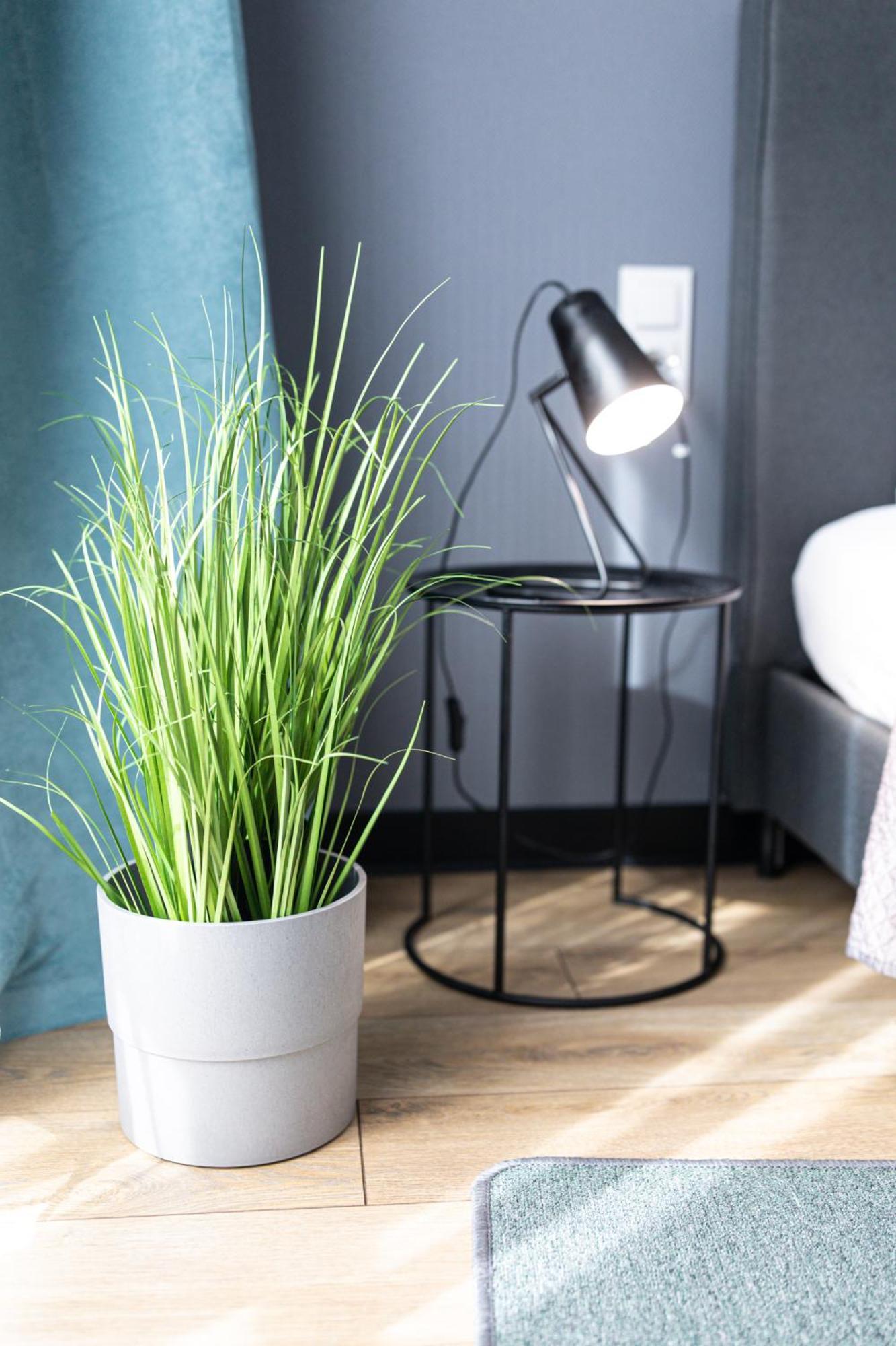 Lm Apartamenty Narutowicza Kamienica Nova 2-3 Szczecin Extérieur photo