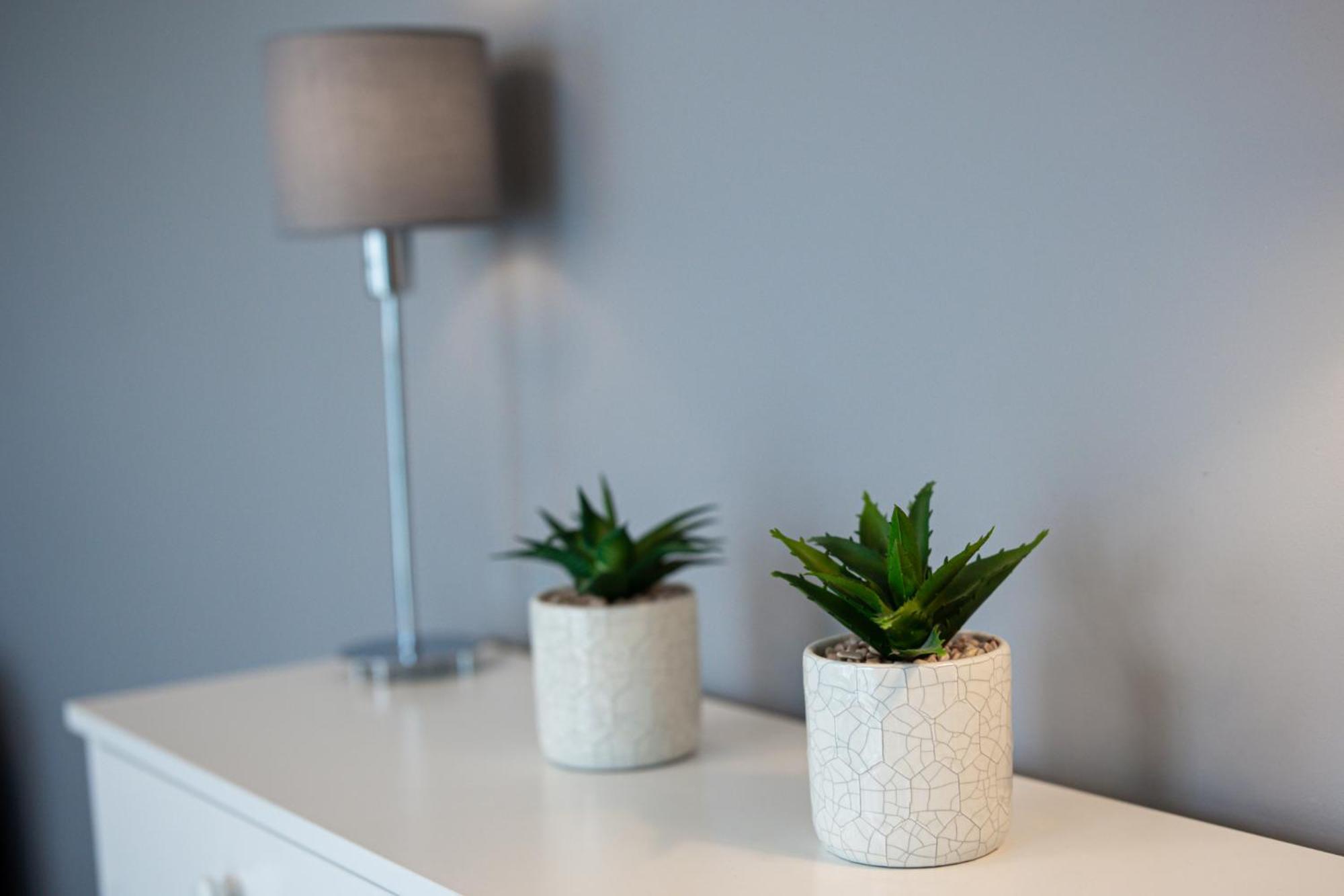 Lm Apartamenty Narutowicza Kamienica Nova 2-3 Szczecin Extérieur photo